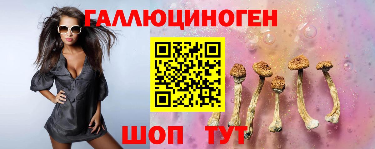 Галлюциногенные грибы мухоморы Карталы